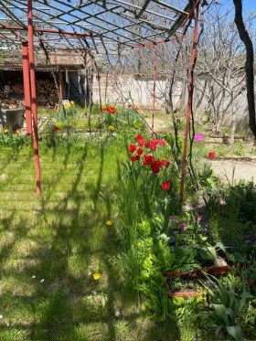 ������� ���� | Imot.bg � ����� ������ 16