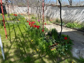 ������� ���� | Imot.bg � ����� ������ 15