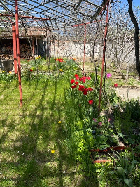 Продава КЪЩА, гр. Дряново, област Габрово, снимка 16 - Къщи - 56068078
