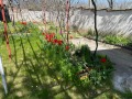 Продава КЪЩА, гр. Дряново, област Габрово, снимка 15
