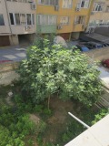 Продава 2-СТАЕН, град Варна, Окръжна болница-Генерали • 165000 € • 72663561 — Holmes.bg