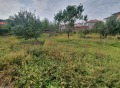 Продава КЪЩА, с. Мерданя, област Велико Търново, снимка 15 - Къщи - 42230278