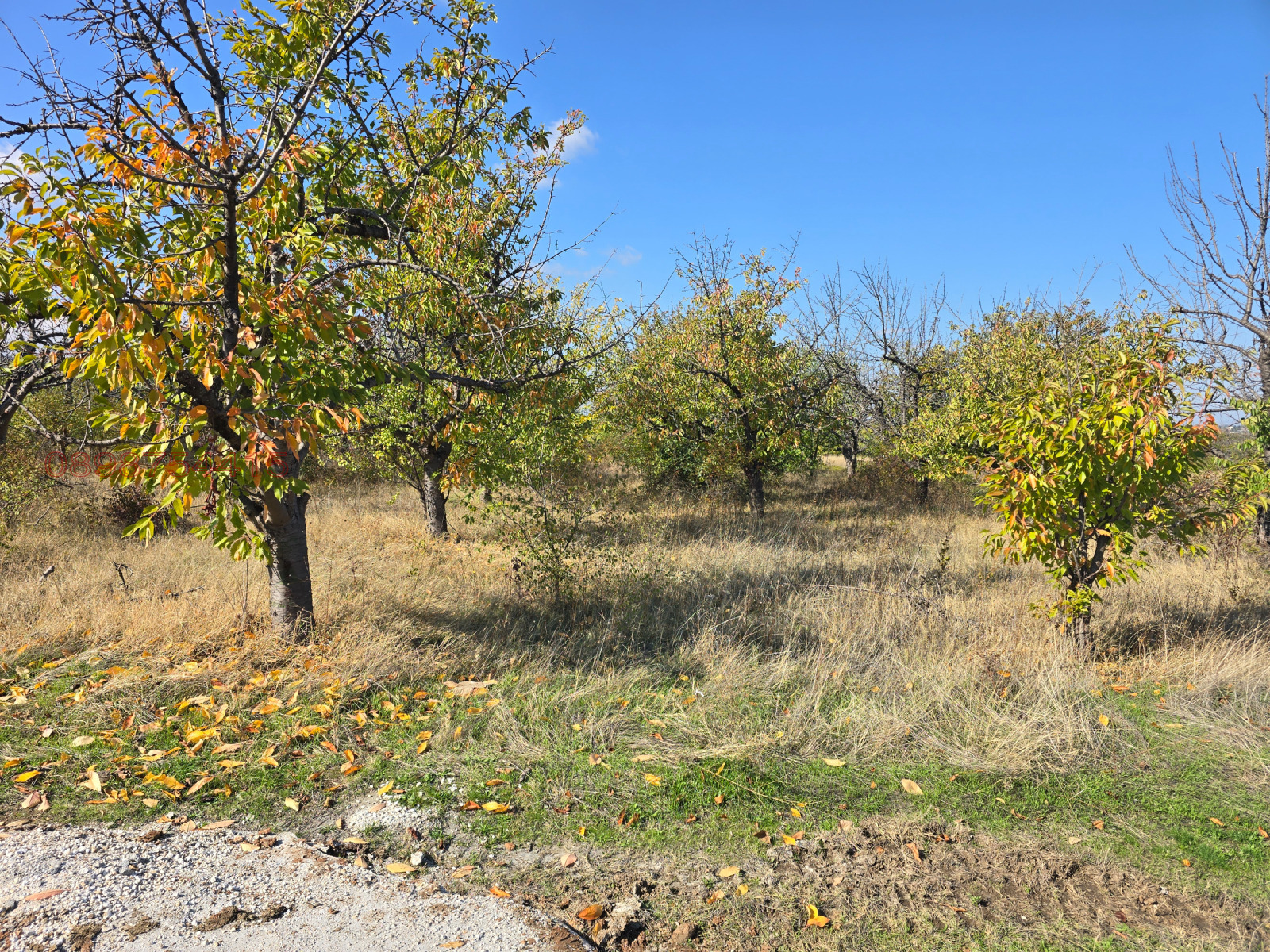 ������� ������ | Imot.bg � ����������� 4