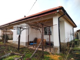 ����� ������� ����,��. ������, ������ ������