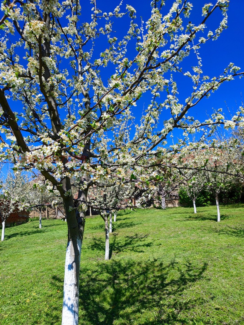 Продава КЪЩА, с. Малорад, област Враца, снимка 12 - Къщи - 52785002