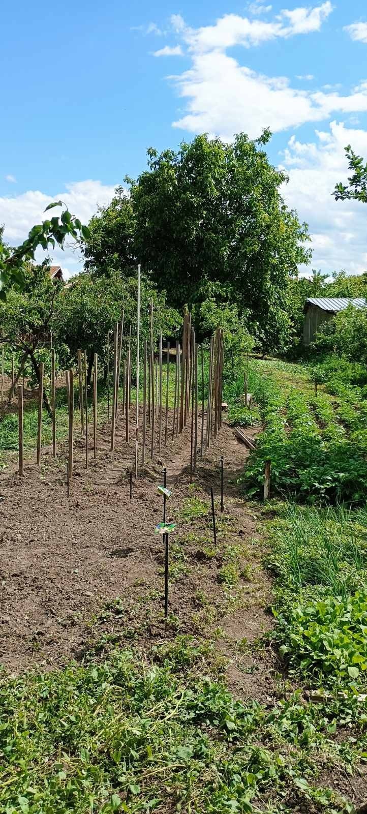 ������� ������ | Imot.bg � ����������� 1