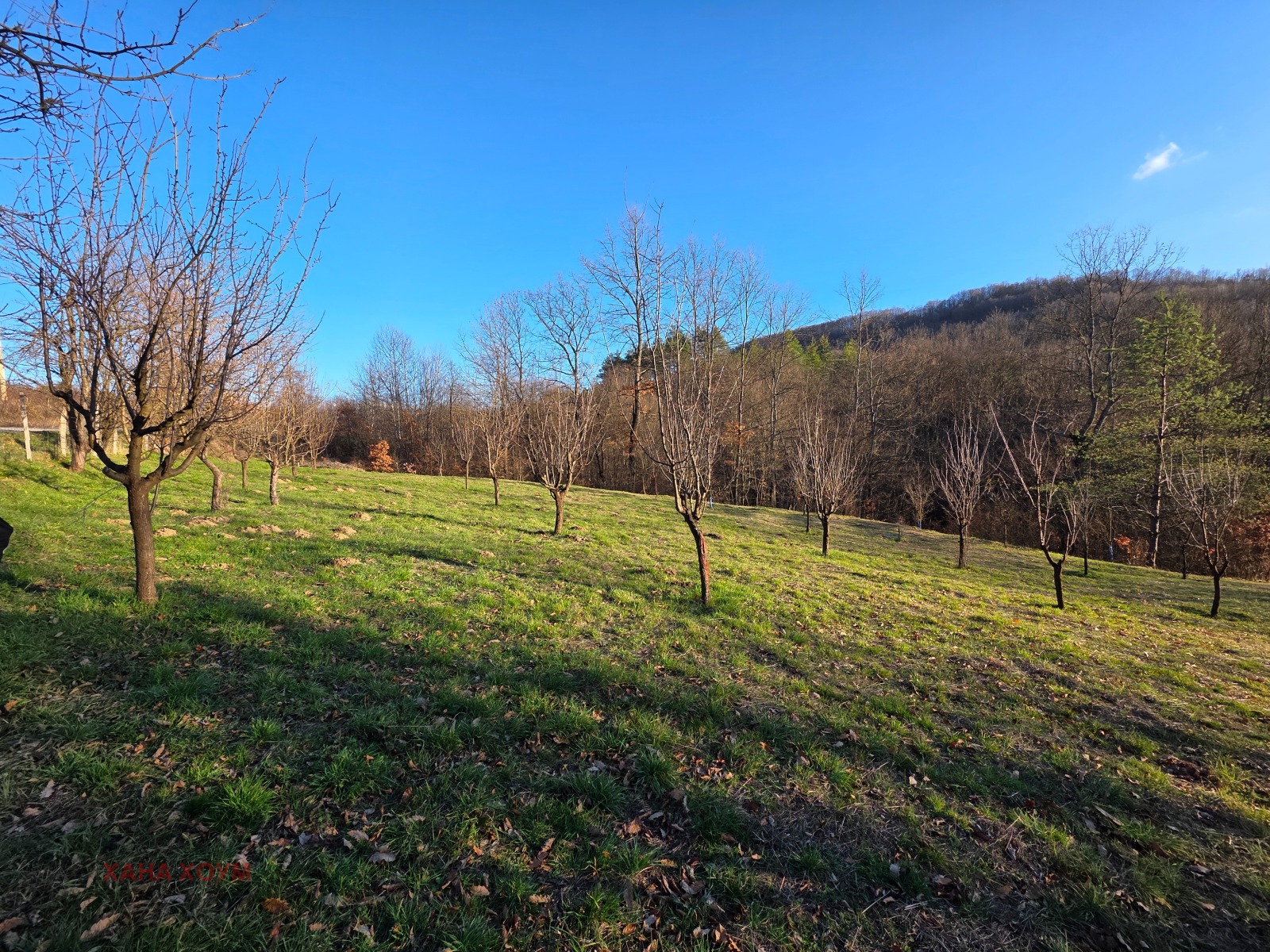 ������� ������ | Imot.bg � ����������� 14