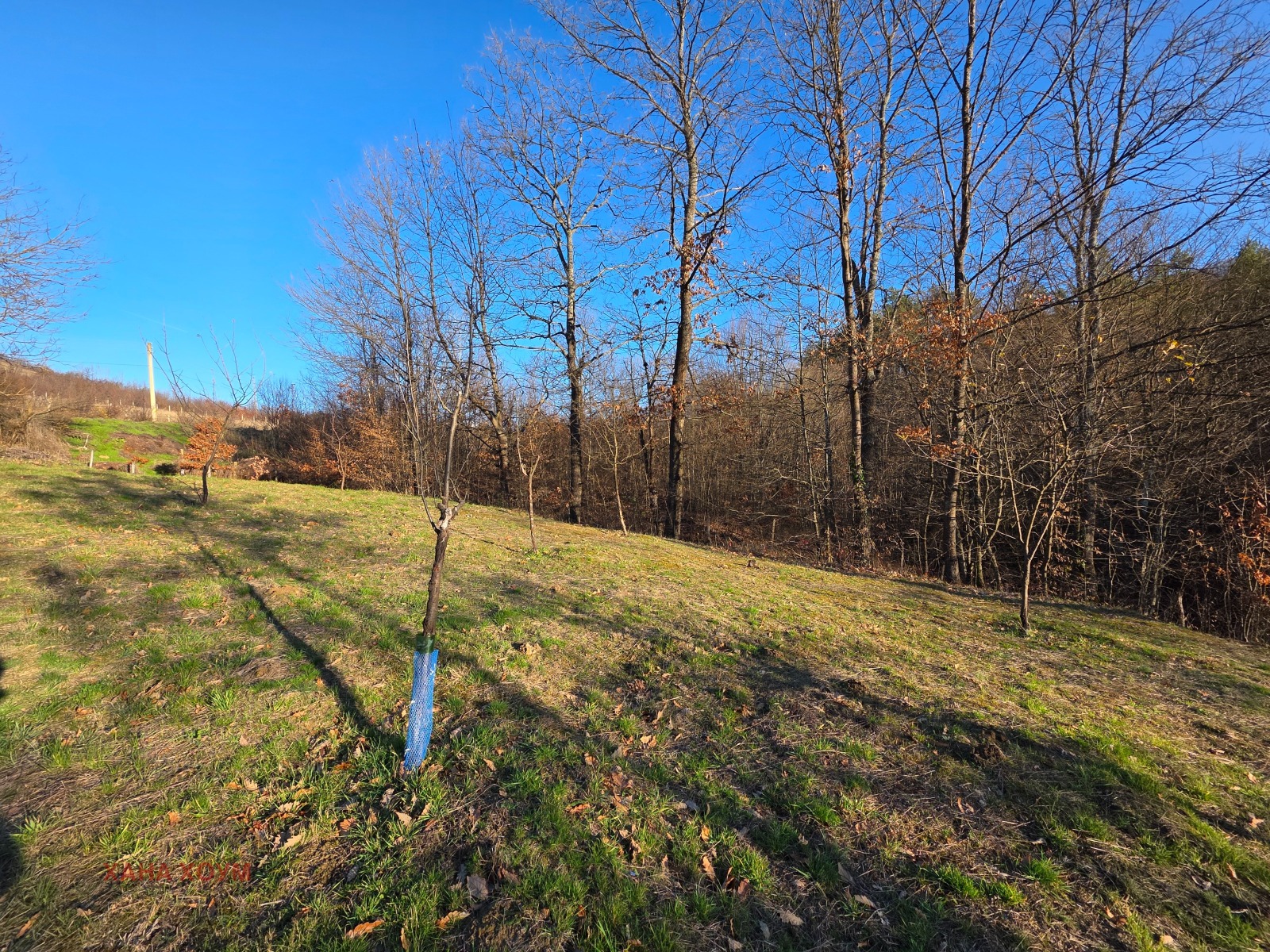 ������� ������ | Imot.bg � ����������� 6