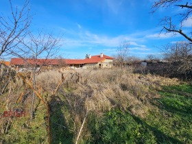 Hus Smyadovo, region Shumen 6