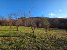 ������� ������ | Imot.bg � ����� ������ 11