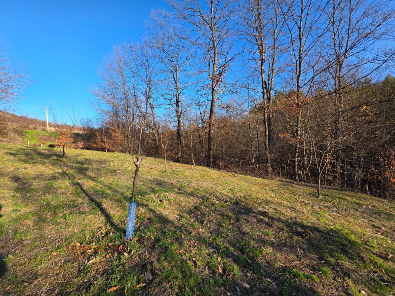 Продава ПАРЦЕЛ, гр. Троян, област Ловеч, снимка 5 - Парцели - 51157362