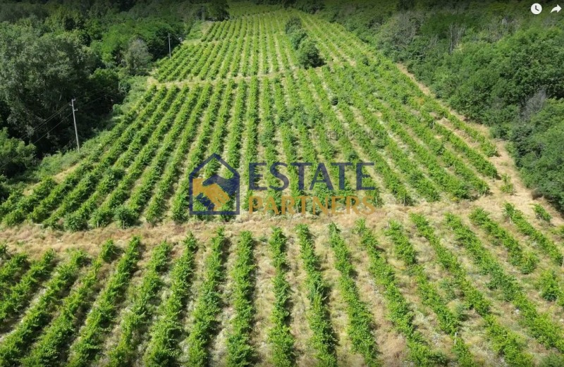 Продава ПАРЦЕЛ, с. Храбрино, област Пловдив, снимка 4 - Парцели - 52663908