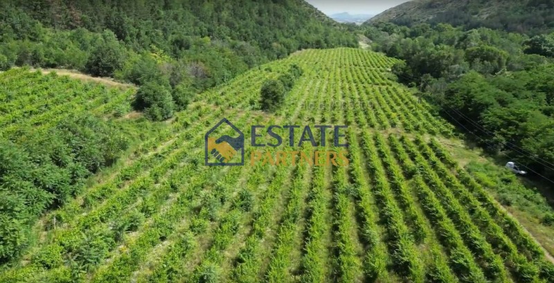 Продава ПАРЦЕЛ, с. Храбрино, област Пловдив, снимка 3 - Парцели - 52663908