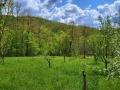 Продава ПАРЦЕЛ, област Ловеч, гр. Троян • 28500 € • 47223080 — Holmes.bg