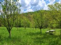 Продава ПАРЦЕЛ, област Ловеч, гр. Троян • 28500 € • 47223080 — Holmes.bg
