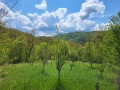 Продава ПАРЦЕЛ, област Ловеч, гр. Троян • 28500 € • 47223080 — Holmes.bg