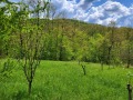 Продава ПАРЦЕЛ, област Ловеч, гр. Троян • 28500 € • 47223080 — Holmes.bg