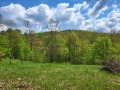 Продава ПАРЦЕЛ, област Ловеч, гр. Троян • 28500 € • 47223080 — Holmes.bg