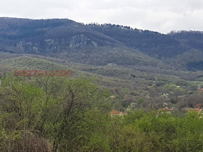 Продава ВИЛА, с. Добревци, област Ловеч, снимка 10 - Вили - 52780928