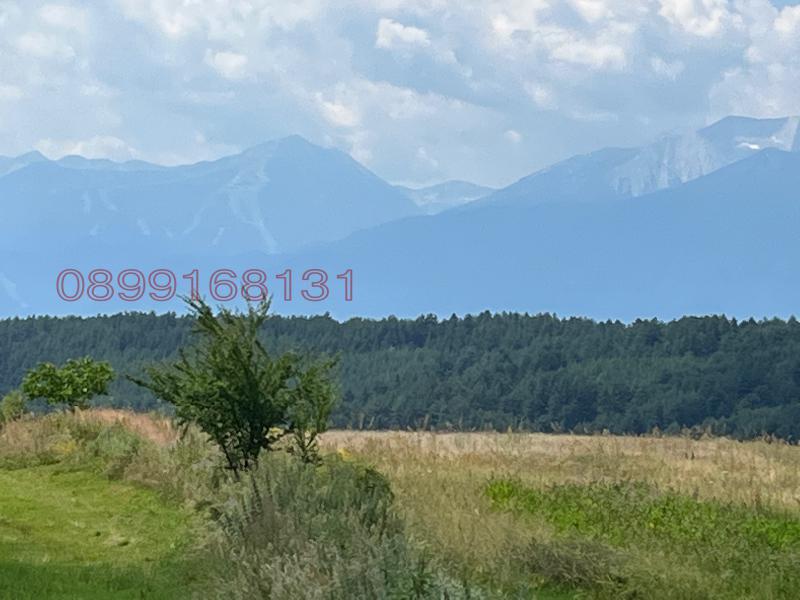 Продава ПАРЦЕЛ, с. Добърско, област Благоевград, снимка 4 - Парцели - 52779411