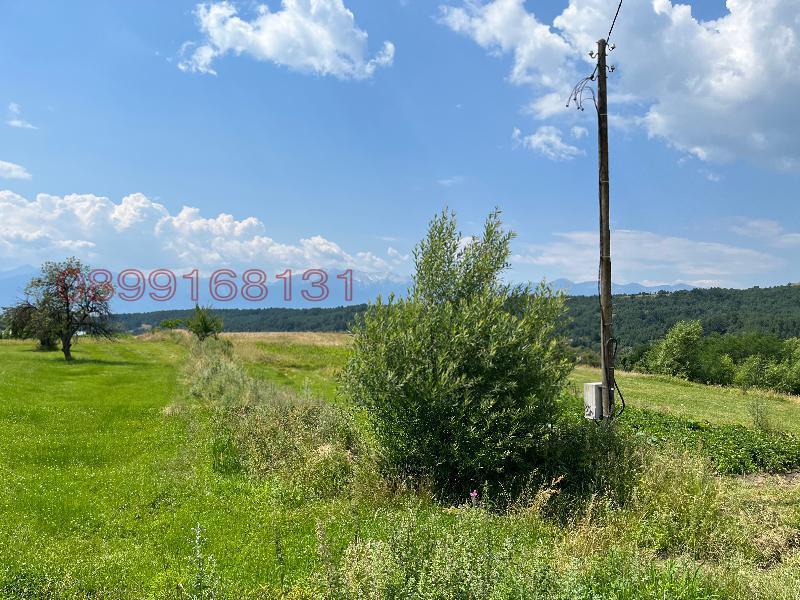 Продава ПАРЦЕЛ, с. Добърско, област Благоевград, снимка 9 - Парцели - 52779411