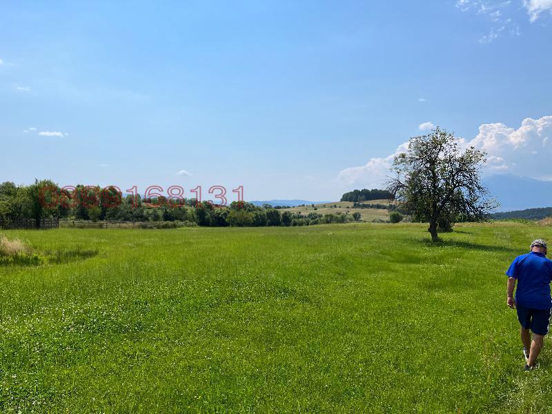 Продава ПАРЦЕЛ, с. Добърско, област Благоевград, снимка 6 - Парцели - 52779411