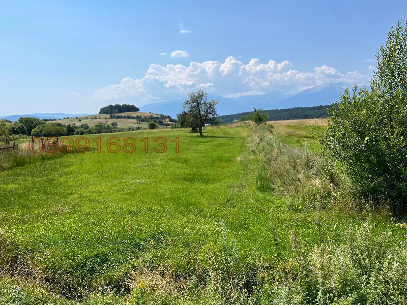 Продава ПАРЦЕЛ, с. Добърско, област Благоевград, снимка 12 - Парцели - 52779411