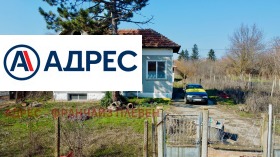 ������ ������� ����