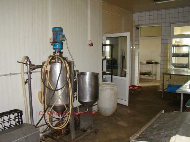 Te koop  Industrie gebouw regio Roese , Pirgovo , 970 m² | 11108171 - afbeelding [10]