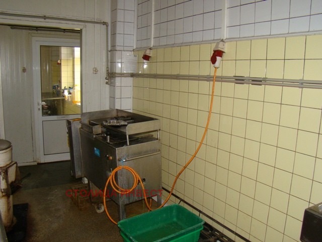 Te koop  Industrie gebouw regio Roese , Pirgovo , 970 m² | 11108171 - afbeelding [5]