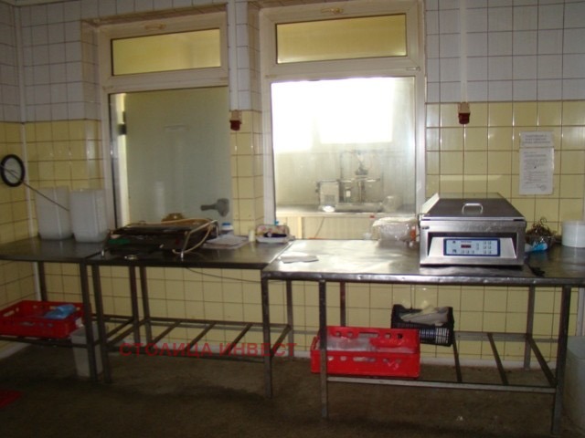 Te koop  Industrie gebouw regio Roese , Pirgovo , 970 m² | 11108171 - afbeelding [9]