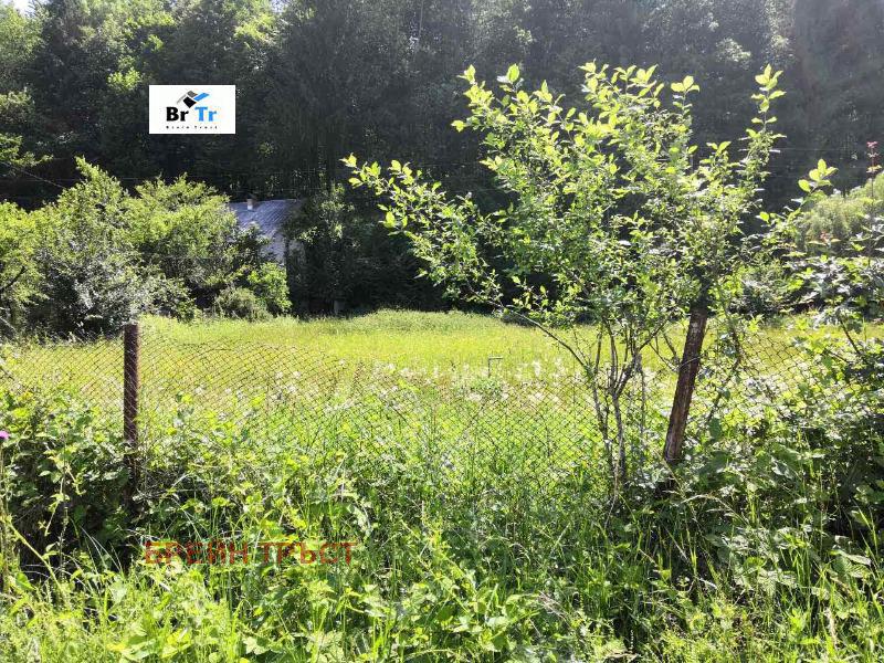 For Sale  Plot region Lovech , Ribaritsa , 1558 sq.m | 99279179 - image [4]