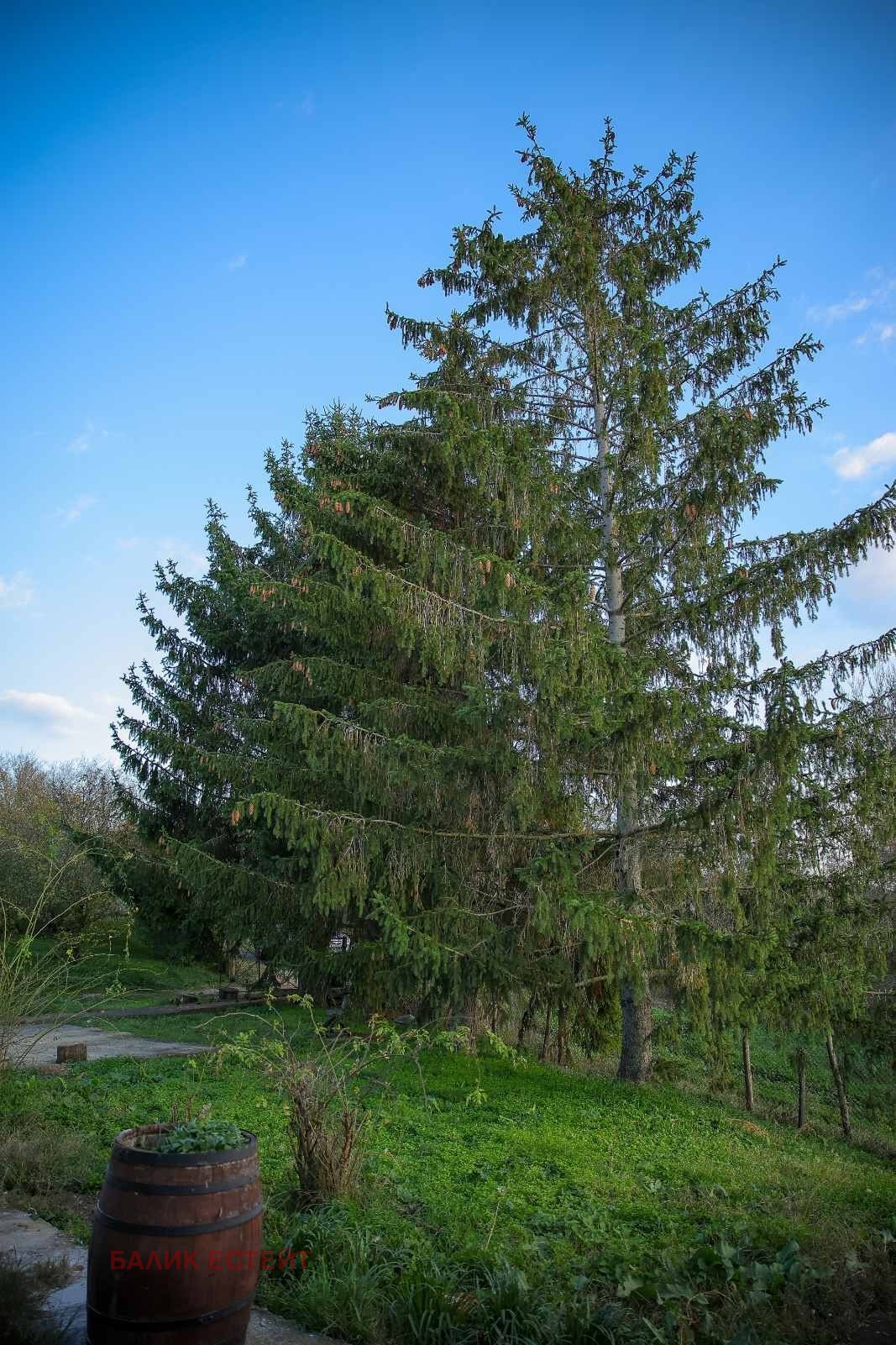 Продава КЪЩА, с. Ново Ботево, област Добрич, снимка 13 - Къщи - 55171599