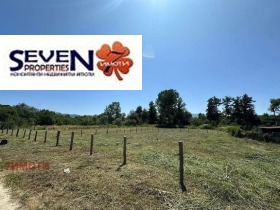 ������ ������� ������