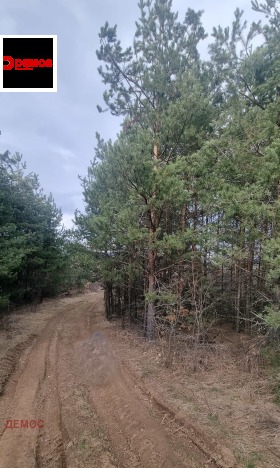 ������� ������ | Imot.bg � ����� ������ 5