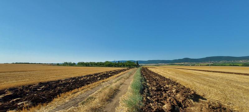 Продава  Земеделска земя област Бургас , с. Тънково , 8 дка | 99451341 - изображение [7]
