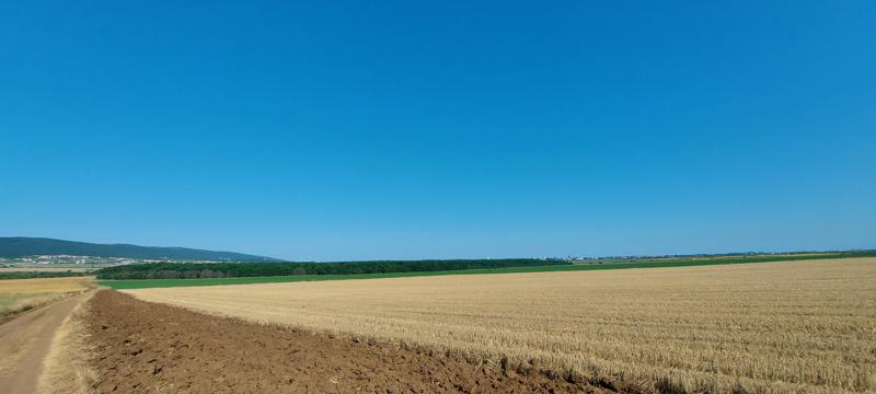 Продава  Земеделска земя област Бургас , с. Тънково , 8 дка | 99451341 - изображение [3]
