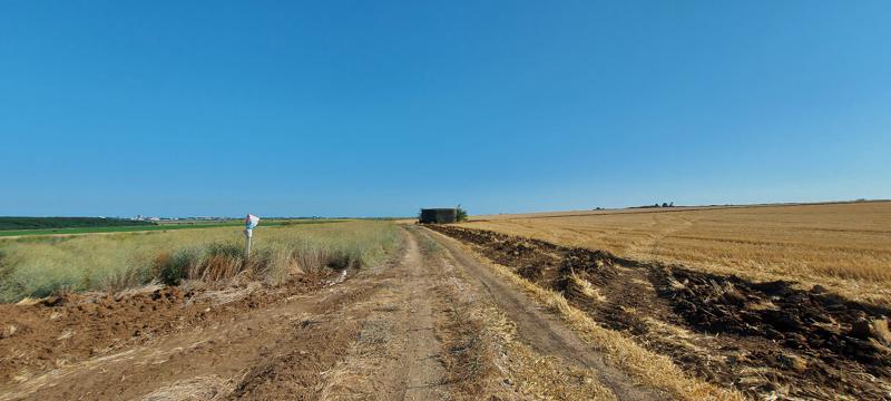 Продава  Земеделска земя област Бургас , с. Тънково , 8 дка | 99451341 - изображение [5]
