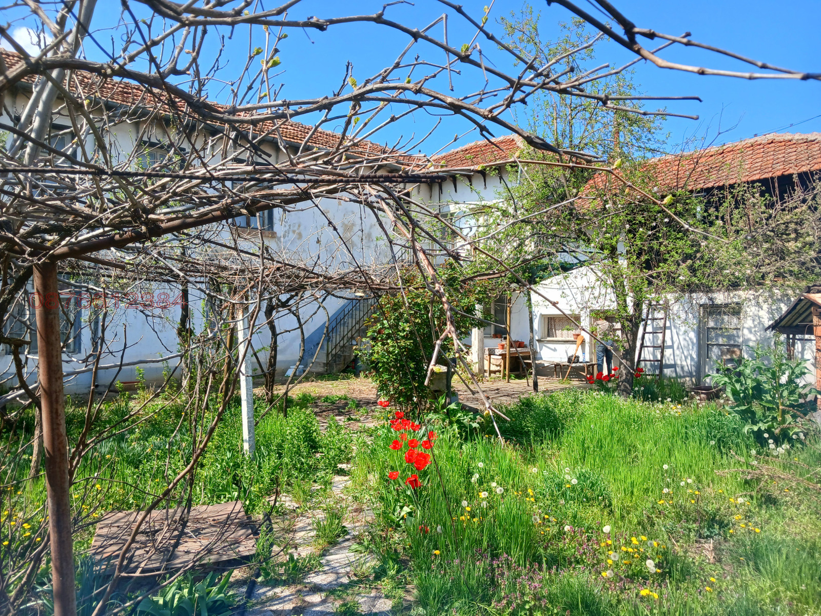 Продава КЪЩА, с. Горни Дъбник, област Плевен, снимка 11 - Къщи - 54281283