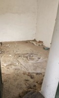 Продава ПАРЦЕЛ, с. Одринци, област Добрич, снимка 12
