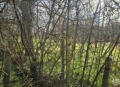 Продава ПАРЦЕЛ, с. Одринци, област Добрич, снимка 10
