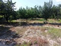 Продава КЪЩА, област Пазарджик, с. Щърково • 75000 лв. / 38346.89 € • 82686826 5