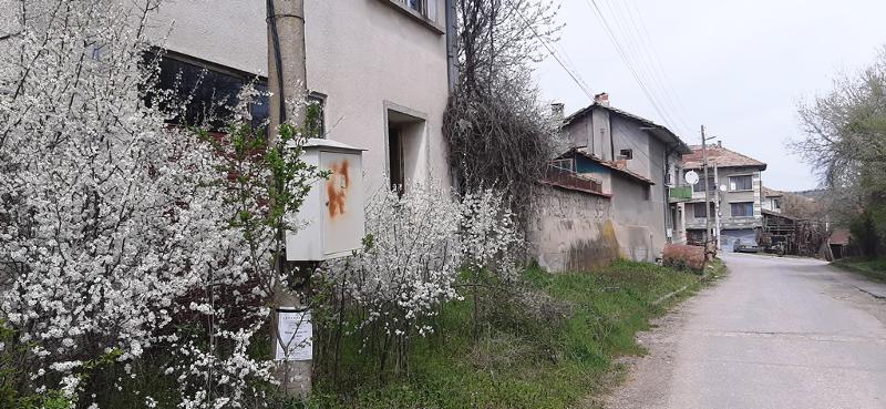 ������� ���� | Imot.bg � ����������� 17