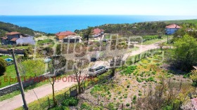 ����� ������� ������,�. ������, ������ ������