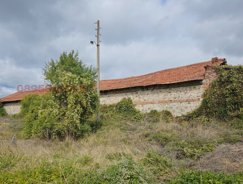 Продава СКЛАД, с. Раждавица, област Кюстендил, снимка 2 - Складове - 52781088