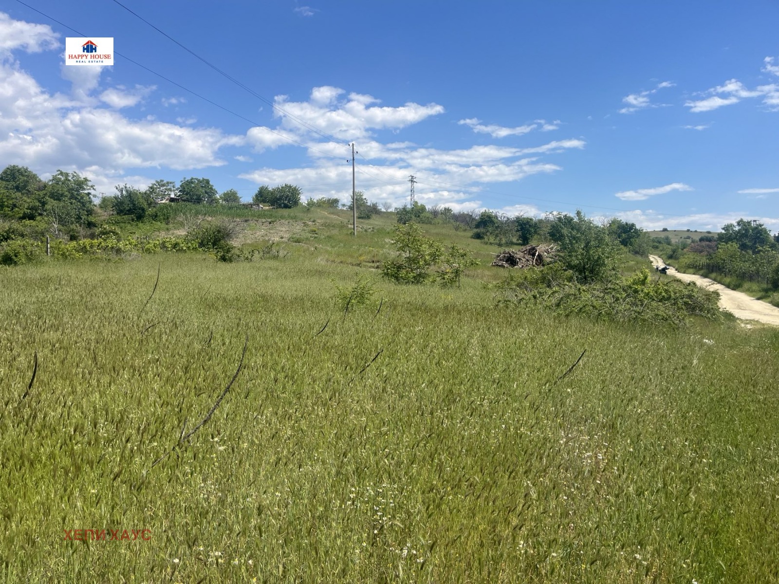 Продава ЗЕМЕДЕЛСКА ЗЕМЯ, гр. Сандански, област Благоевград, снимка 5 - Земеделска земя - 54509206