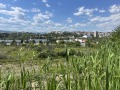 Продава ЗЕМЕДЕЛСКА ЗЕМЯ, гр. Сандански, област Благоевград, снимка 12