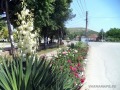 Продава КЪЩА, област Варна, с. Падина • 35000 € • 90468413 — Holmes.bg