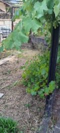 Продава КЪЩА, град Перник, Байкушева махала • 239000 € • 81222542 — Holmes.bg