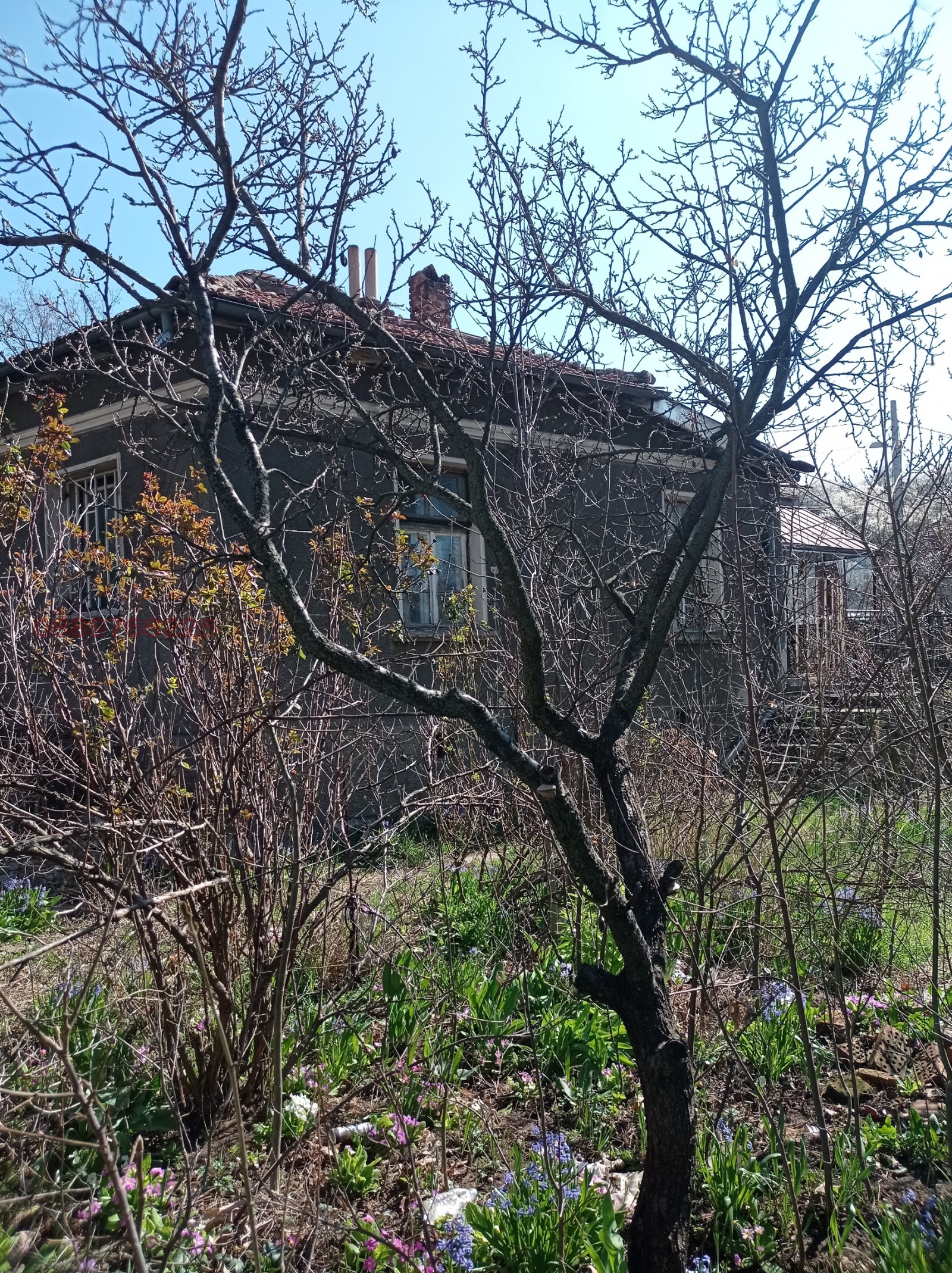 ������� ���� | Imot.bg � ����������� 1